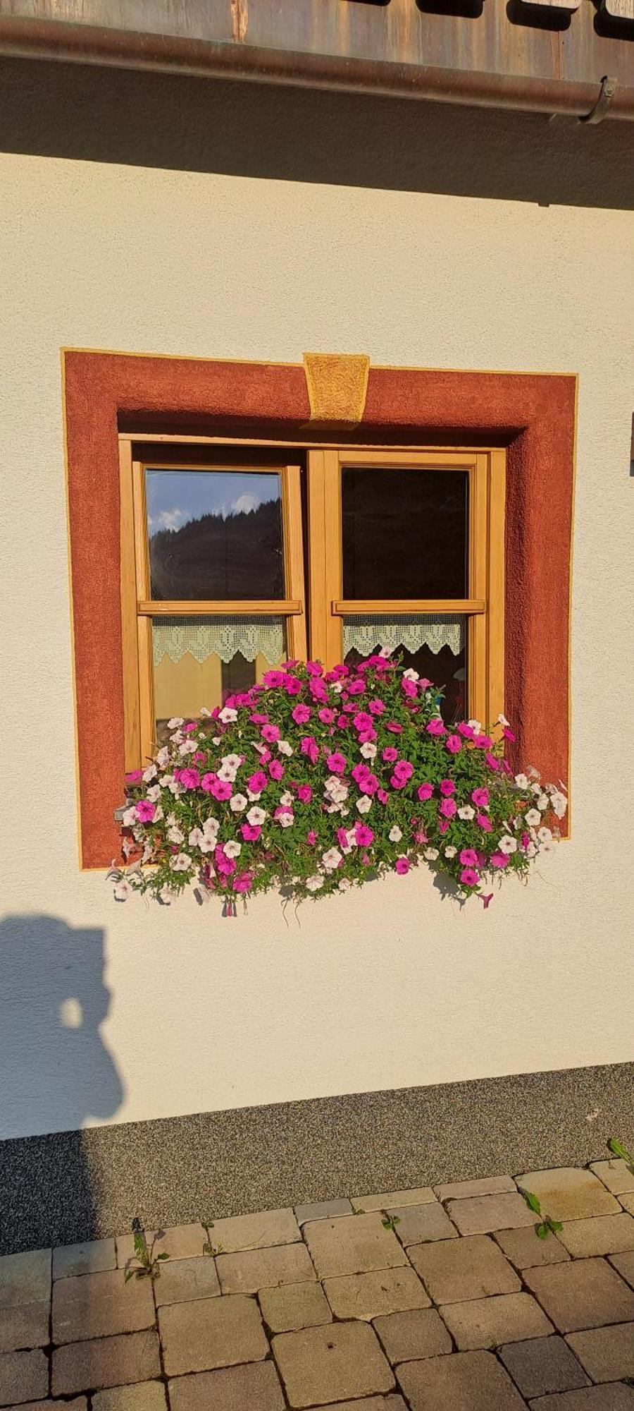 Ferienwohnung Steinernes Meer Maria Alm am Steinernen Meer Bagian luar foto