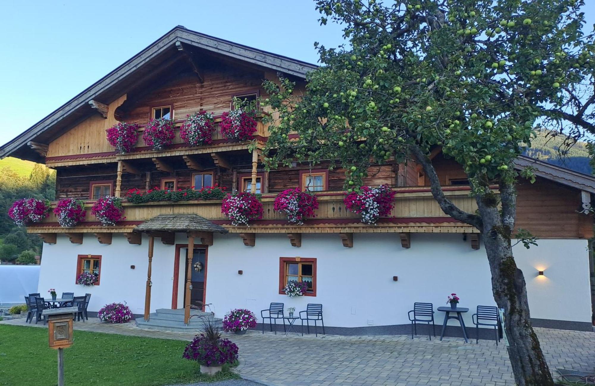 Ferienwohnung Steinernes Meer Maria Alm am Steinernen Meer Bagian luar foto